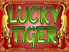 Lucky Tiger